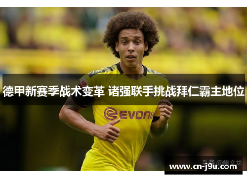 德甲新赛季战术变革 诸强联手挑战拜仁霸主地位
