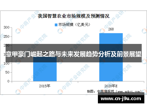 意甲豪门崛起之路与未来发展趋势分析及前景展望