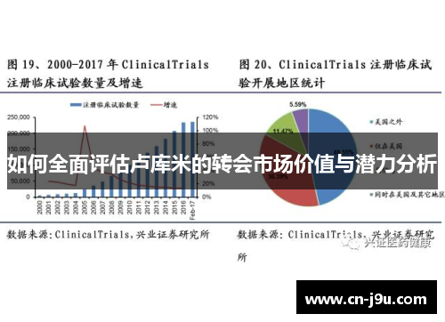 如何全面评估卢库米的转会市场价值与潜力分析