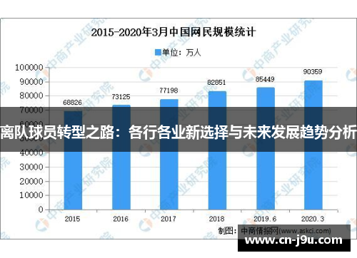 离队球员转型之路：各行各业新选择与未来发展趋势分析