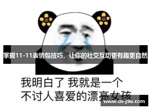 掌握11-11表情包技巧，让你的社交互动更有趣更自然