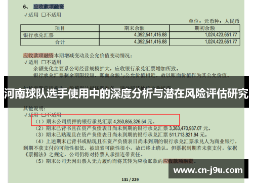 河南球队选手使用中的深度分析与潜在风险评估研究