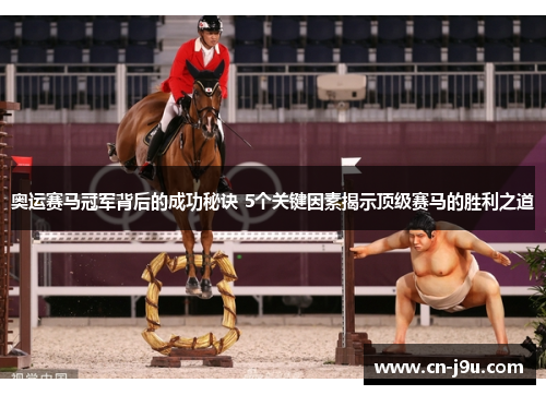 奥运赛马冠军背后的成功秘诀 5个关键因素揭示顶级赛马的胜利之道