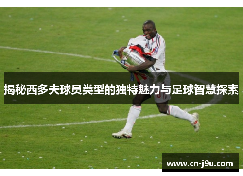 揭秘西多夫球员类型的独特魅力与足球智慧探索